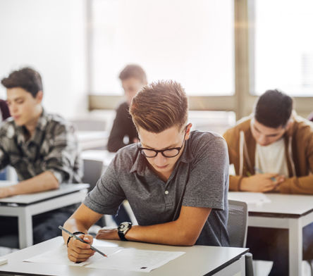 Scores on standardized tests